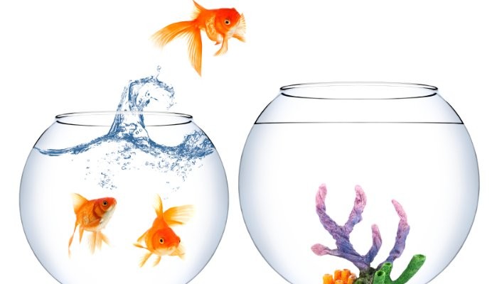 Don't get caught between fishbowls